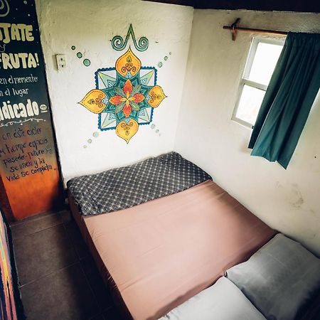 Viejo Lobo Hostel Cabo Polonio Buitenkant foto