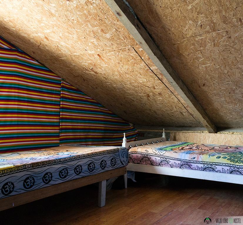 Viejo Lobo Hostel Cabo Polonio Buitenkant foto