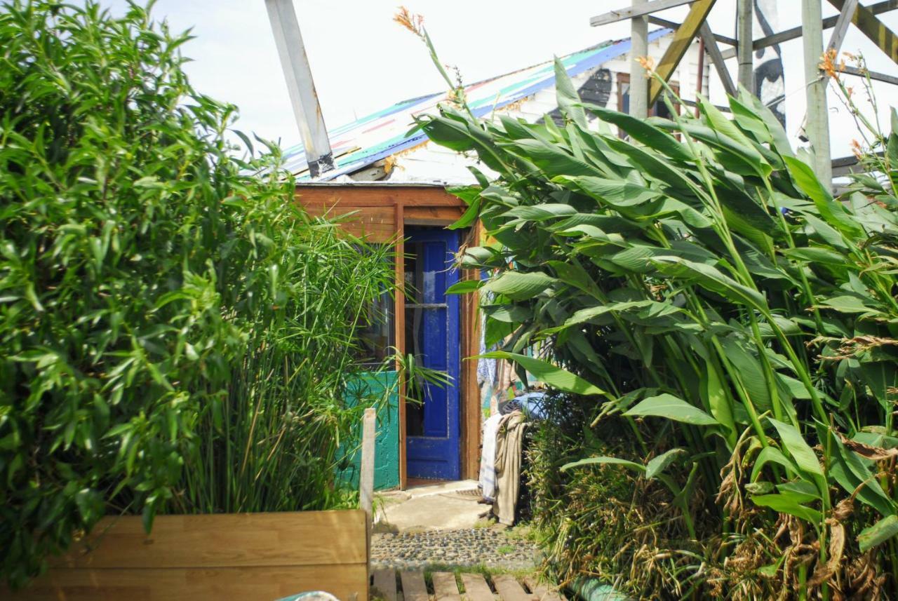 Viejo Lobo Hostel Cabo Polonio Buitenkant foto